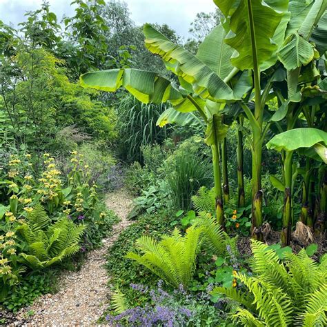 De Natuurtalent Tuin